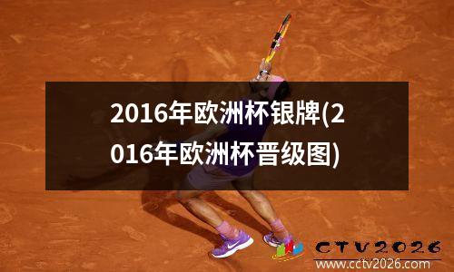 2016年欧洲杯银牌(2016年欧洲杯晋级图)