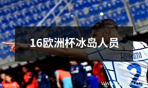 16欧洲杯冰岛人员