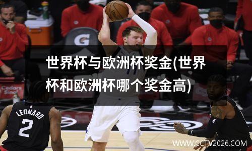 世界杯与欧洲杯奖金(世界杯和欧洲杯哪个奖金高)