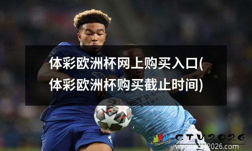体彩欧洲杯网上购买入口(体彩欧洲杯购买截止时间)