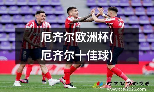 厄齐尔欧洲杯(厄齐尔十佳球)