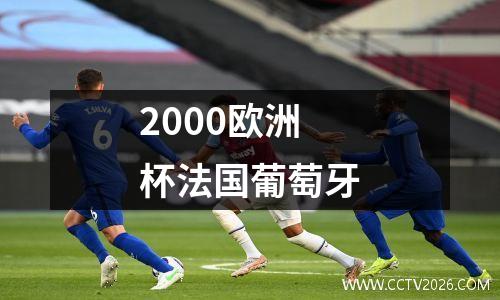 2000欧洲杯法国葡萄牙