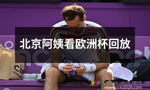 北京阿姨看欧洲杯回放