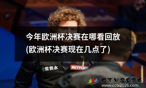 今年欧洲杯决赛在哪看回放(欧洲杯决赛现在几点了)