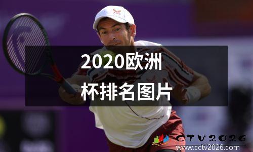 2020欧洲杯排名图片