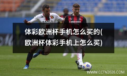 体彩欧洲杯手机怎么买的(欧洲杯体彩手机上怎么买)