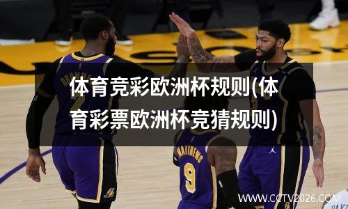 体育竞彩欧洲杯规则(体育彩票欧洲杯竞猜规则)