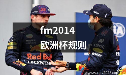 fm2014欧洲杯规则
