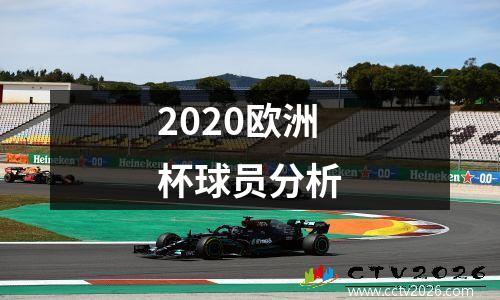 2020欧洲杯球员分析