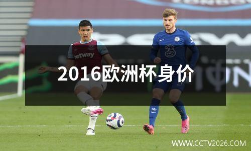 2016欧洲杯身价