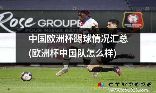 中国欧洲杯踢球情况汇总(欧洲杯中国队怎么样)