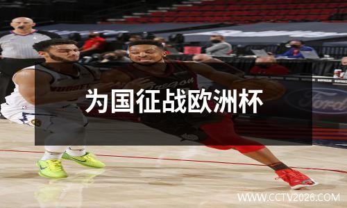 为国征战欧洲杯