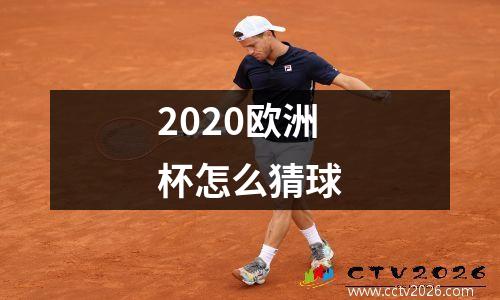 2020欧洲杯怎么猜球