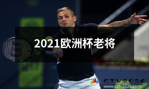 2021欧洲杯老将