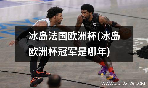 冰岛法国欧洲杯(冰岛欧洲杯冠军是哪年)