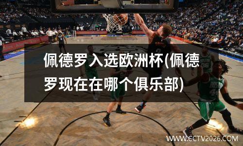 佩德罗入选欧洲杯(佩德罗现在在哪个俱乐部)