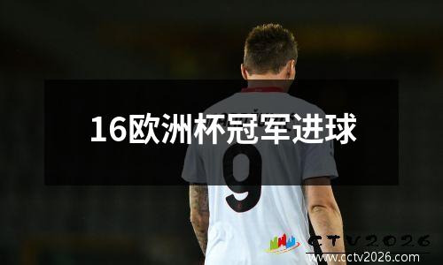 16欧洲杯冠军进球