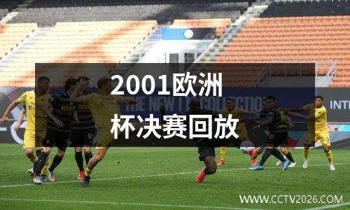 2001欧洲杯决赛回放