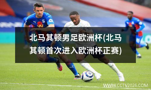北马其顿男足欧洲杯(北马其顿首次进入欧洲杯正赛)