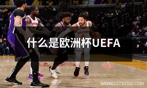 什么是欧洲杯UEFA