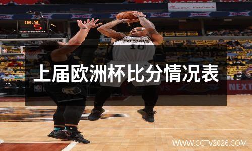 上届欧洲杯比分情况表