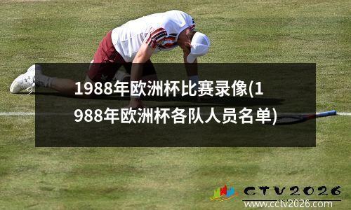1988年欧洲杯比赛录像(1988年欧洲杯各队人员名单)