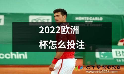 2022欧洲杯怎么投注