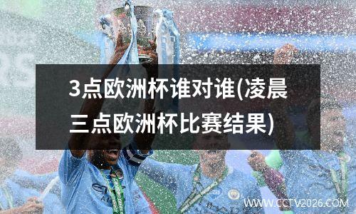 3点欧洲杯谁对谁(凌晨三点欧洲杯比赛结果)