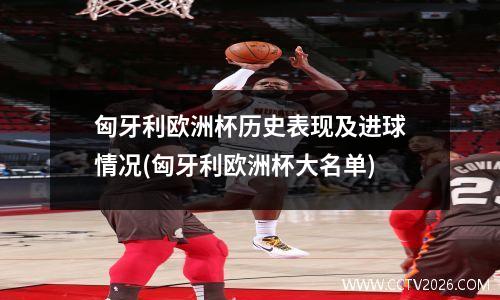 匈牙利欧洲杯历史表现及进球情况(匈牙利欧洲杯大名单)