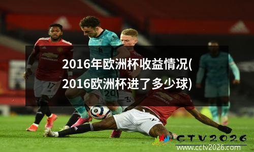 2016年欧洲杯收益情况(2016欧洲杯进了多少球)