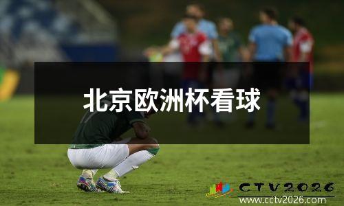 北京欧洲杯看球