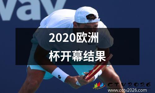2020欧洲杯开幕结果