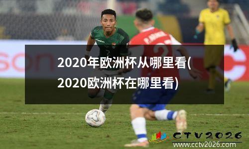2020年欧洲杯从哪里看(2020欧洲杯在哪里看)