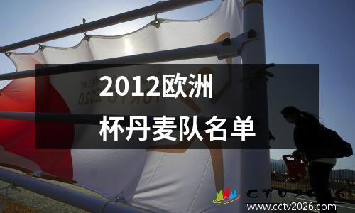 2012欧洲杯丹麦队名单