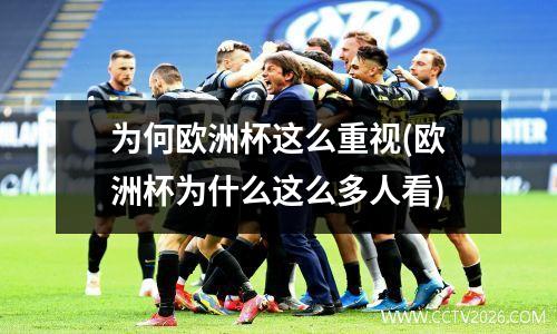 为何欧洲杯这么重视(欧洲杯为什么这么多人看)