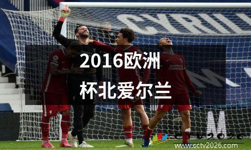2016欧洲杯北爱尔兰