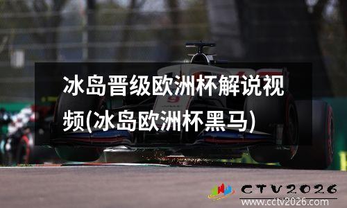 冰岛晋级欧洲杯解说视频(冰岛欧洲杯黑马)