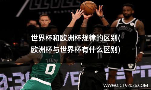 世界杯和欧洲杯规律的区别(欧洲杯与世界杯有什么区别)