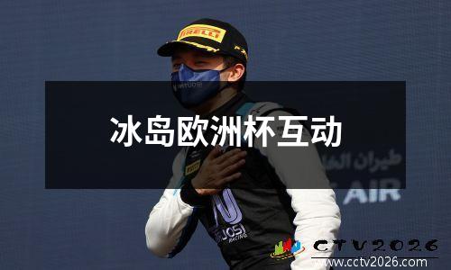 冰岛欧洲杯互动
