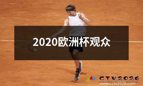 2020欧洲杯观众