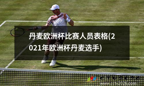 丹麦欧洲杯比赛人员表格(2021年欧洲杯丹麦选手)