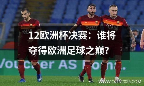 12欧洲杯决赛：谁将夺得欧洲足球之巅？