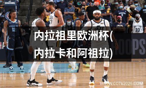 内拉祖里欧洲杯(内拉卡和阿祖拉)