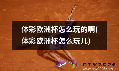 体彩欧洲杯怎么玩的啊(体彩欧洲杯怎么玩儿)