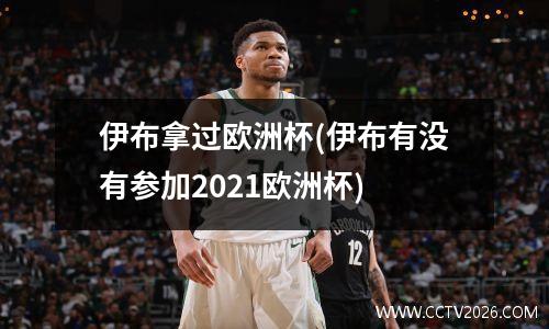 伊布拿过欧洲杯(伊布有没有参加2021欧洲杯)