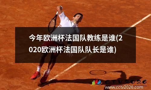 今年欧洲杯法国队教练是谁(2020欧洲杯法国队队长是谁)