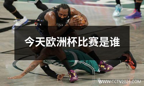 今天欧洲杯比赛是谁
