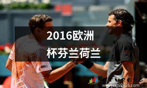 2016欧洲杯芬兰荷兰