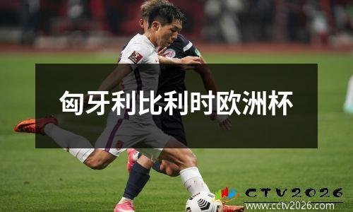匈牙利比利时欧洲杯
