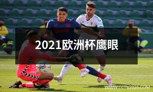 2021欧洲杯鹰眼